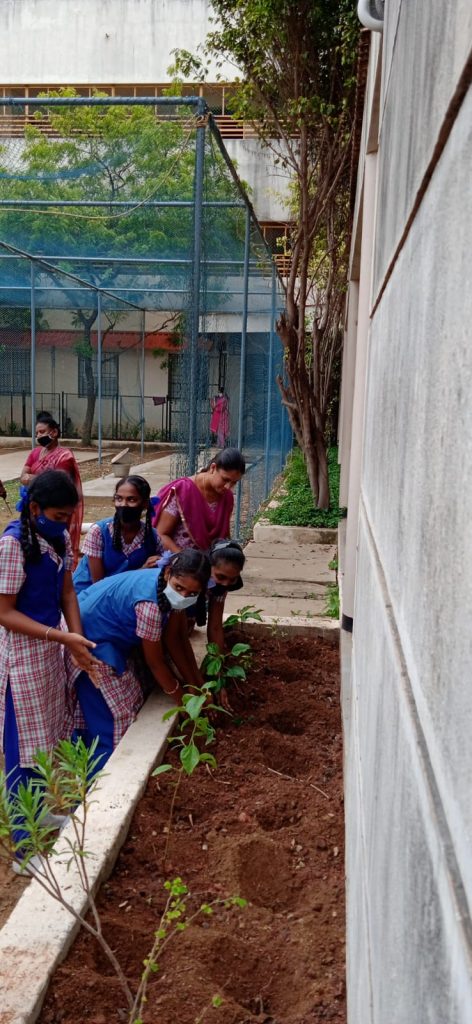 vanmahotsav-week-celebration